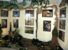 Výstava Čimelice 2011